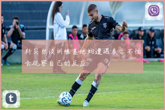 科贝尔谈训练基地蛇遭遇表示不怕会观察自己的反应